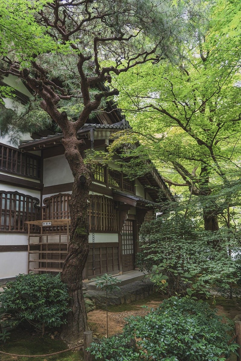 Zen Garden Ideas