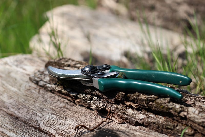 Thinning Plants